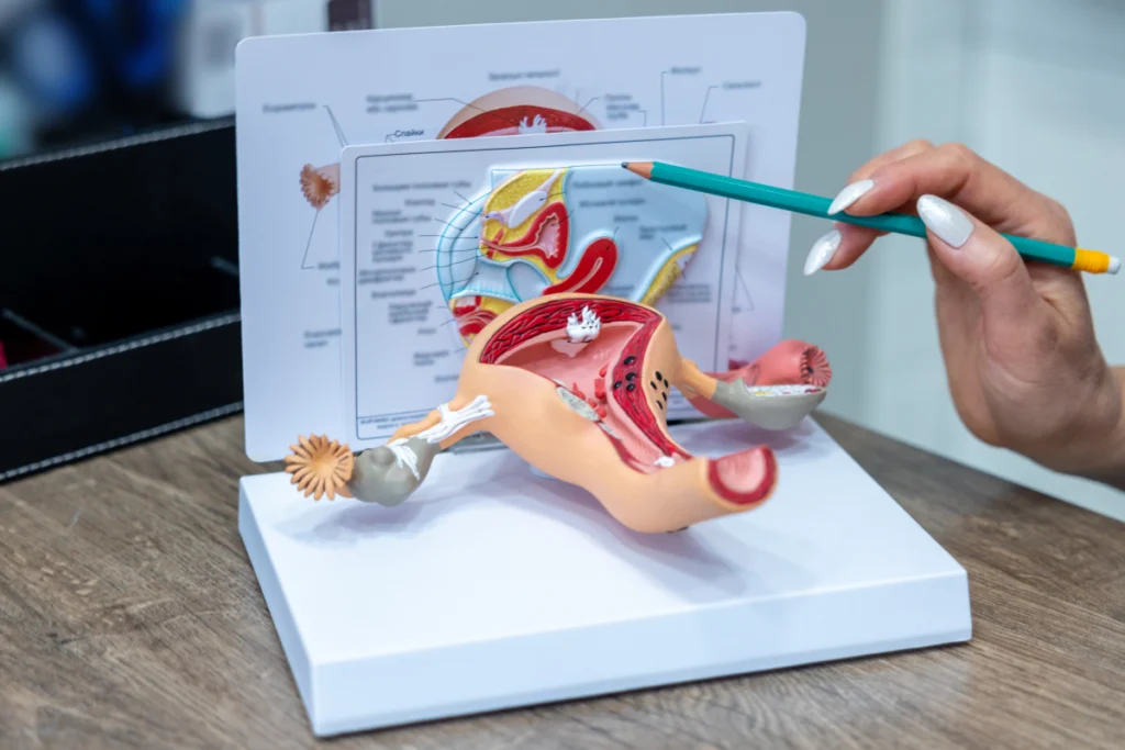 Chirurgie gynécologique