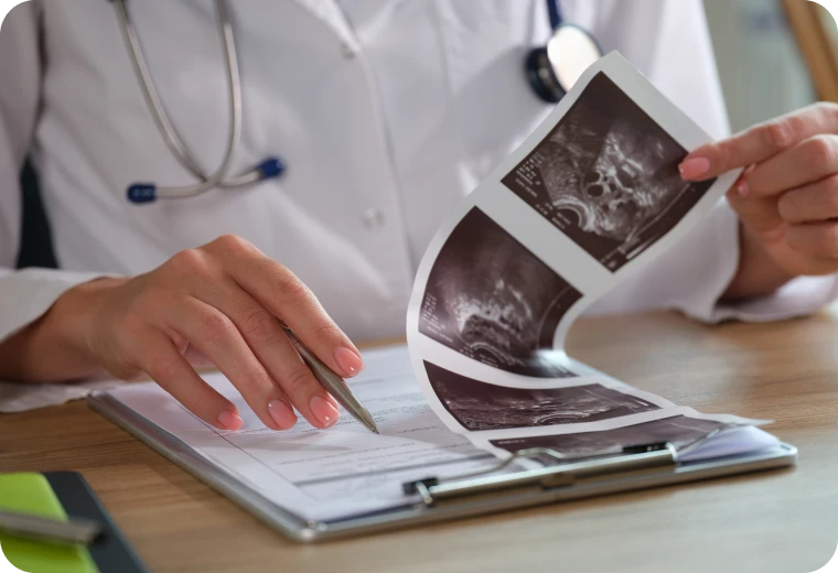 Médecin analysant des clichés d'échographie et rédigeant le dossier médical
