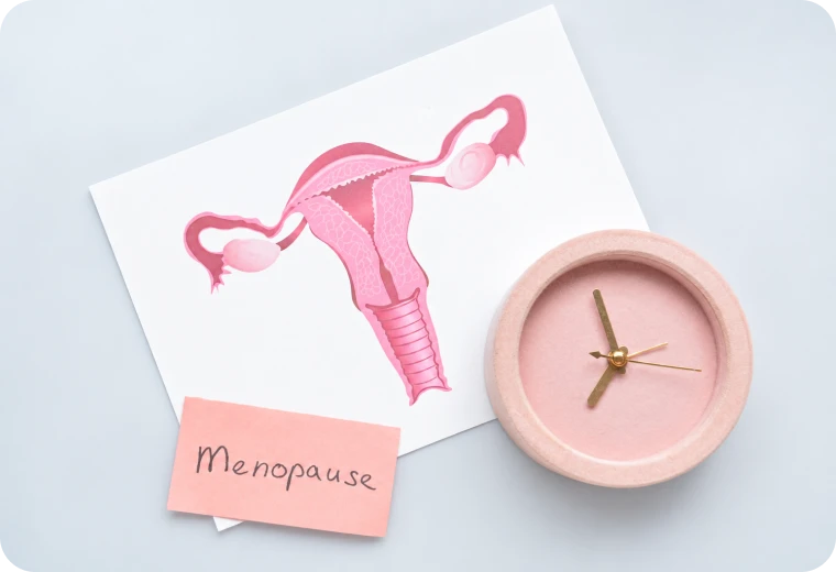 Illustration symbolique de l'utérus et de la ménopause avec horloge